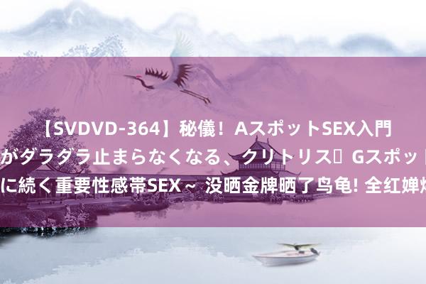 【SVDVD-364】秘儀！AスポットSEX入門 ～刺激した瞬間から愛液がダラダラ止まらなくなる、クリトリス・Gスポットに続く重要性感帯SEX～ 没晒金牌晒了鸟龟! 全红婵爆改AAA彩色乌龟批发红姐