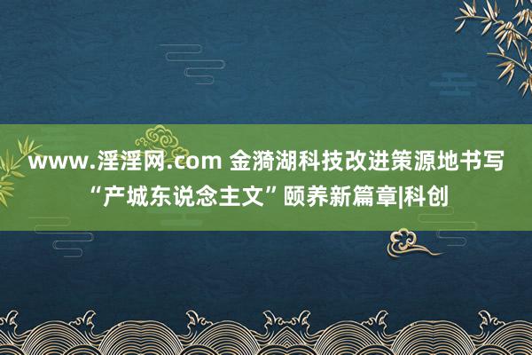 www.淫淫网.com 金漪湖科技改进策源地书写“产城东说念主文”颐养新篇章|科创