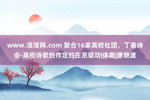 www.淫淫网.com 聚合16家高校社团，丁香诗会·高校诗歌创作定约在京驱动|体裁|唐晓渡